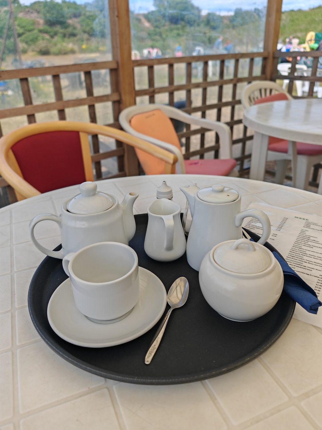 A pot of tea, milk jug and cup on a tray